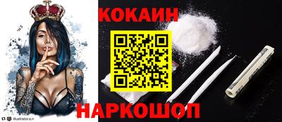 СК Бийск
