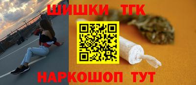 СК Бийск