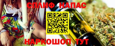 СК Бийск