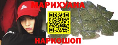 СК Бийск