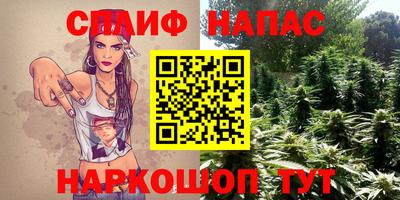 СК Бийск