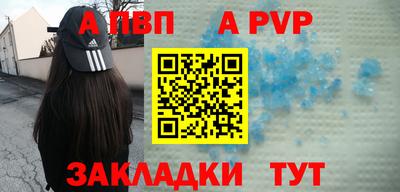 СК Бийск