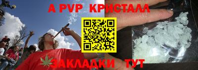 СК Бийск