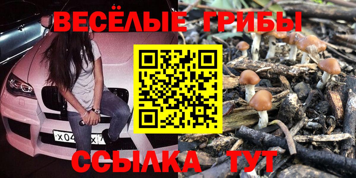 Вязники  закладки  Вход с VPN  Псилоцибиновые грибы MAGIC MUSHROOMS 